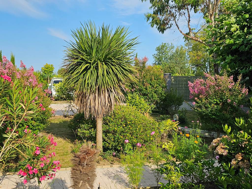 Entrée sud hotel gay abaca colors