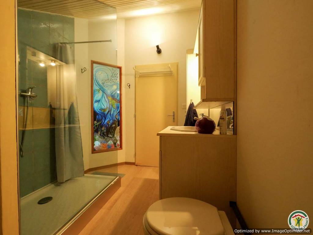 41-P1016766-Optimized