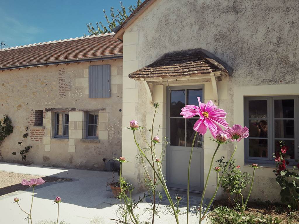 Maison-Chemin-Chambres-d-hotes-Amboise-cosmos