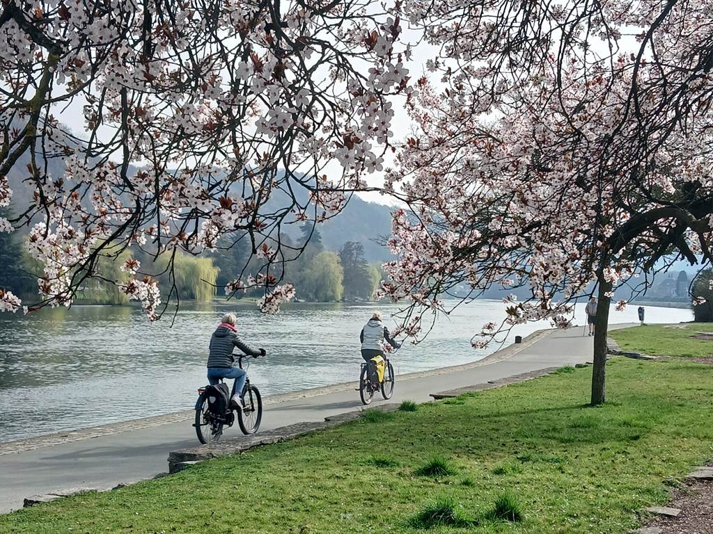 balade sur le RAVEL de la Meuse