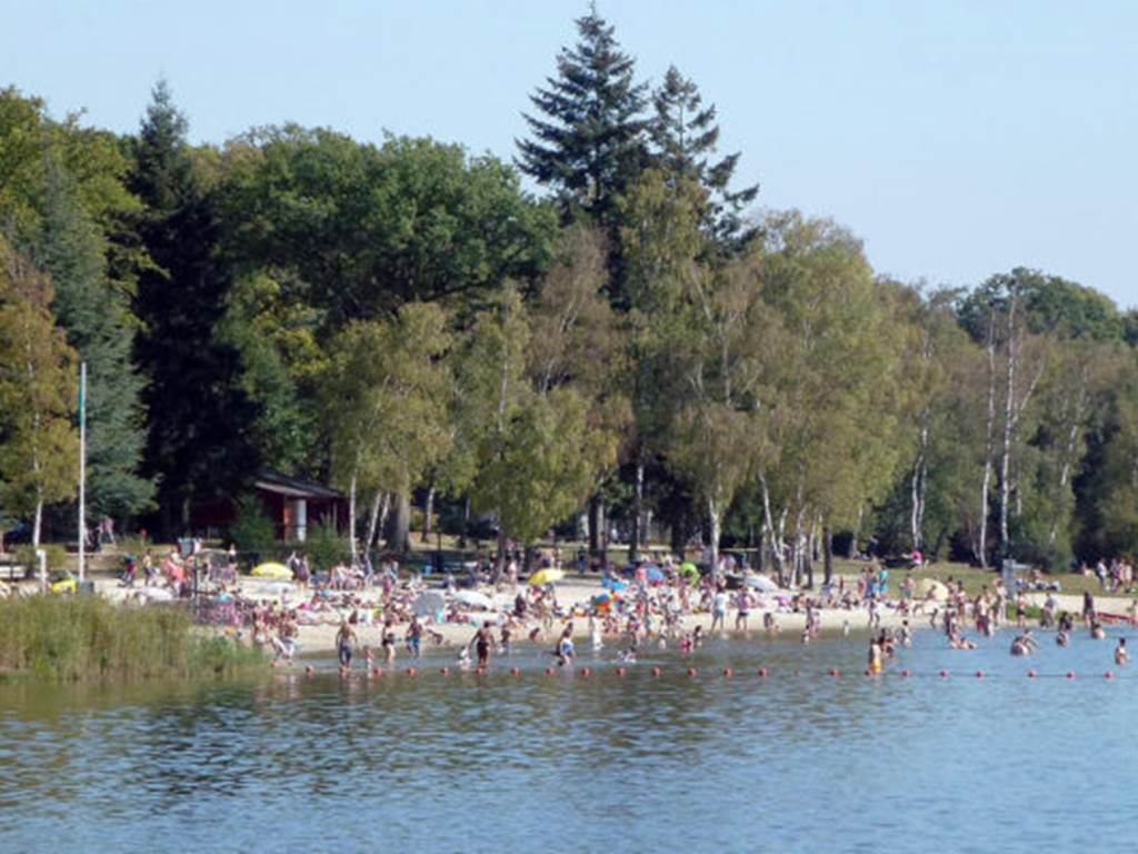 Location-en-foret-du-Parc-de-Chevreuse