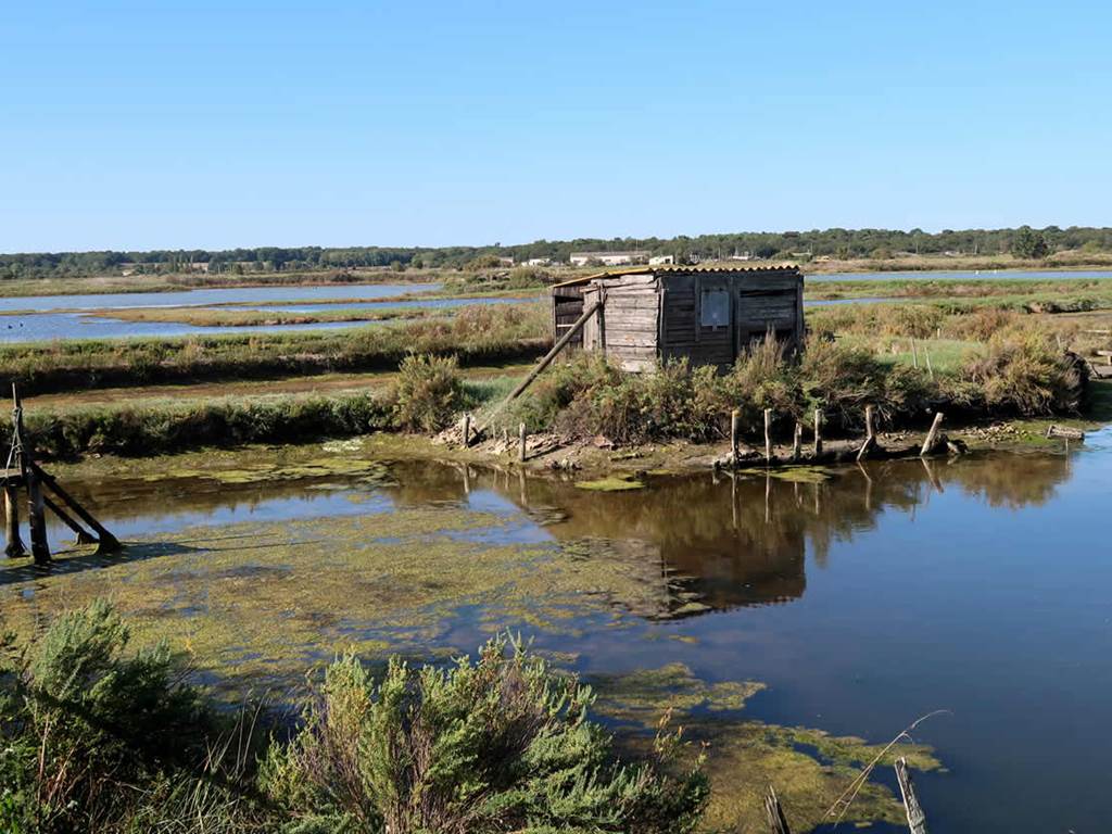 cabane marais de la seudre