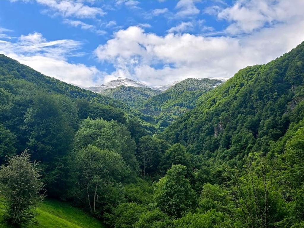 Magnifique vue sur les montagnes enneigées