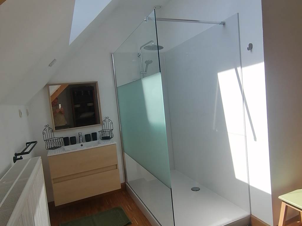 douche italienne in kamer met dubbel bed - dans  la chambre avec lit double
