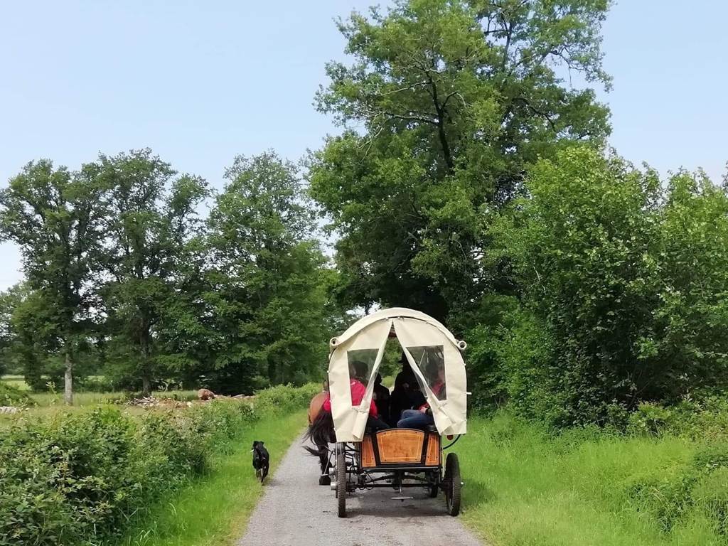 Balade en chariot de cow-boy dans la campagne limousine