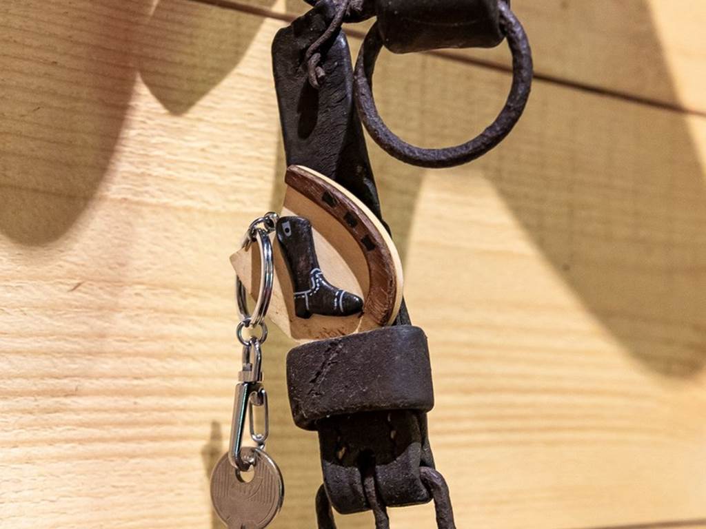 La chambre (PMR) : Thème l'écurie