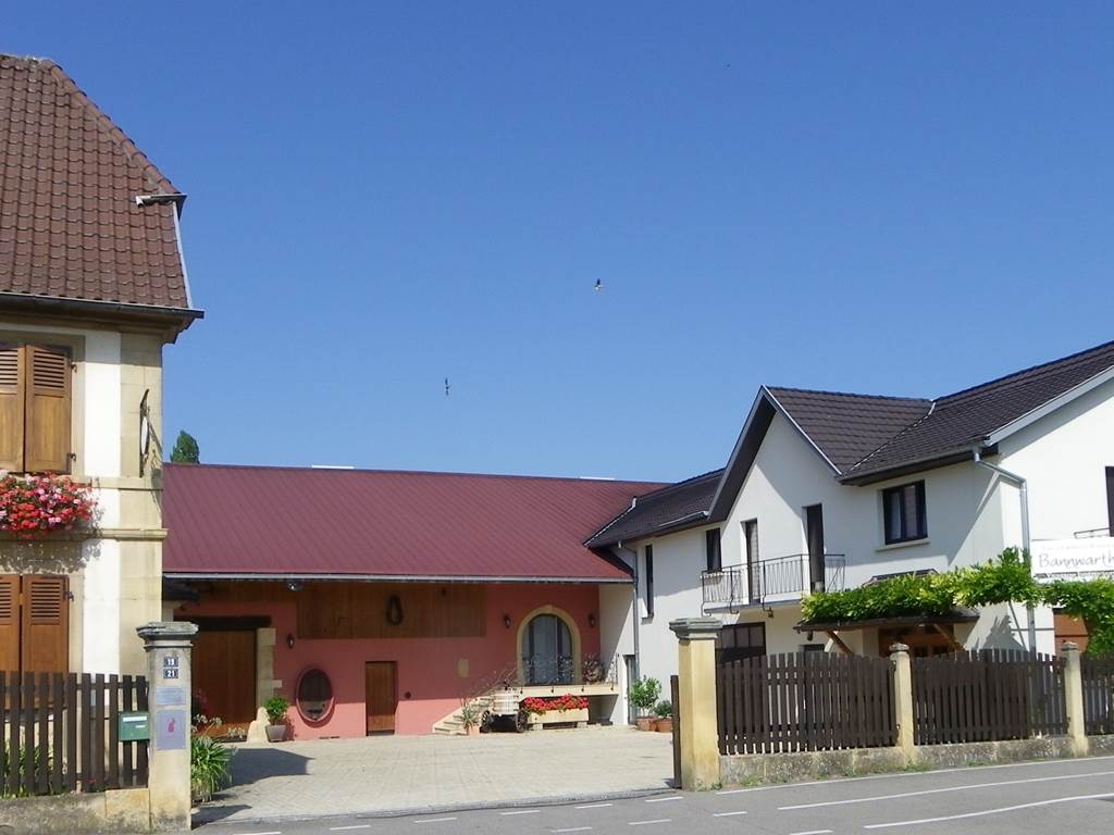 2IMGP0141
