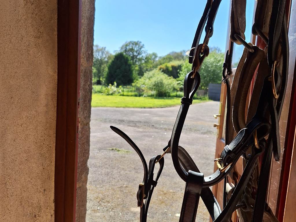 Sellerie - gîte équestre- chevaux bienvenus - adapté randonnée et cavaliers