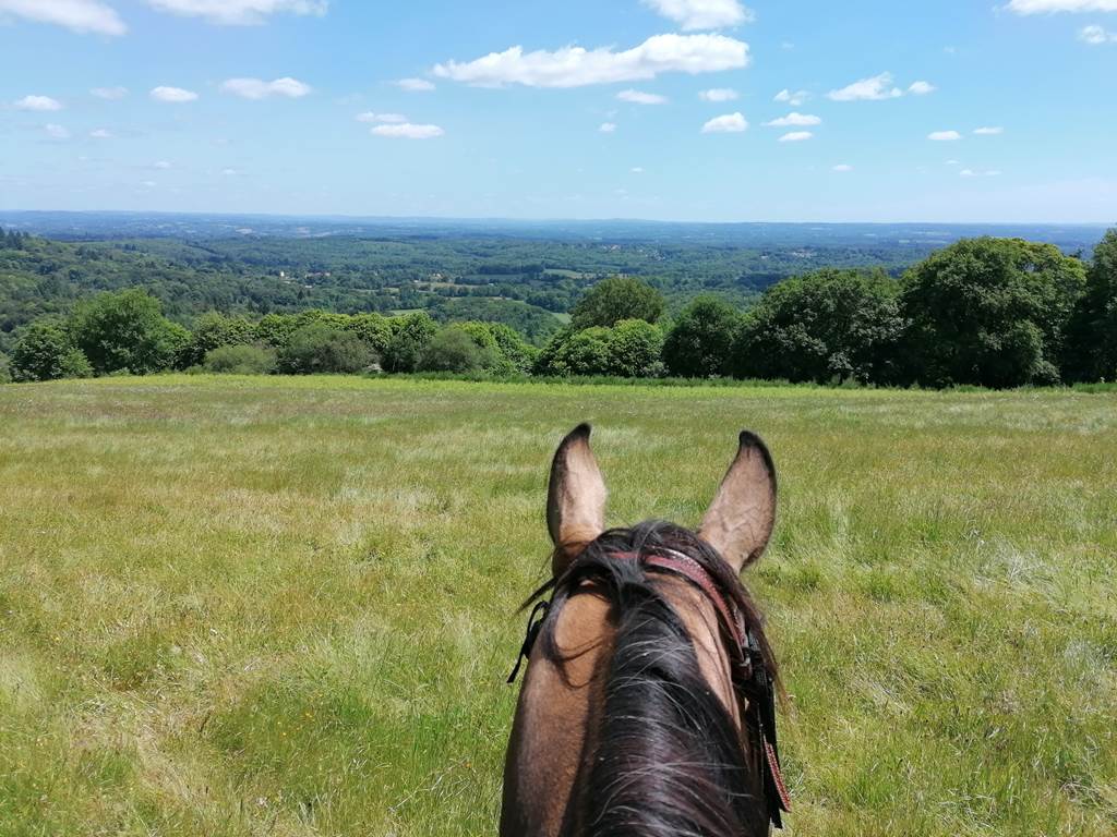 Vu sur le Limousin depuis les Monts d'Ambazac lors d'une randonnée à cheval depuis le Gîte de la Chevêche