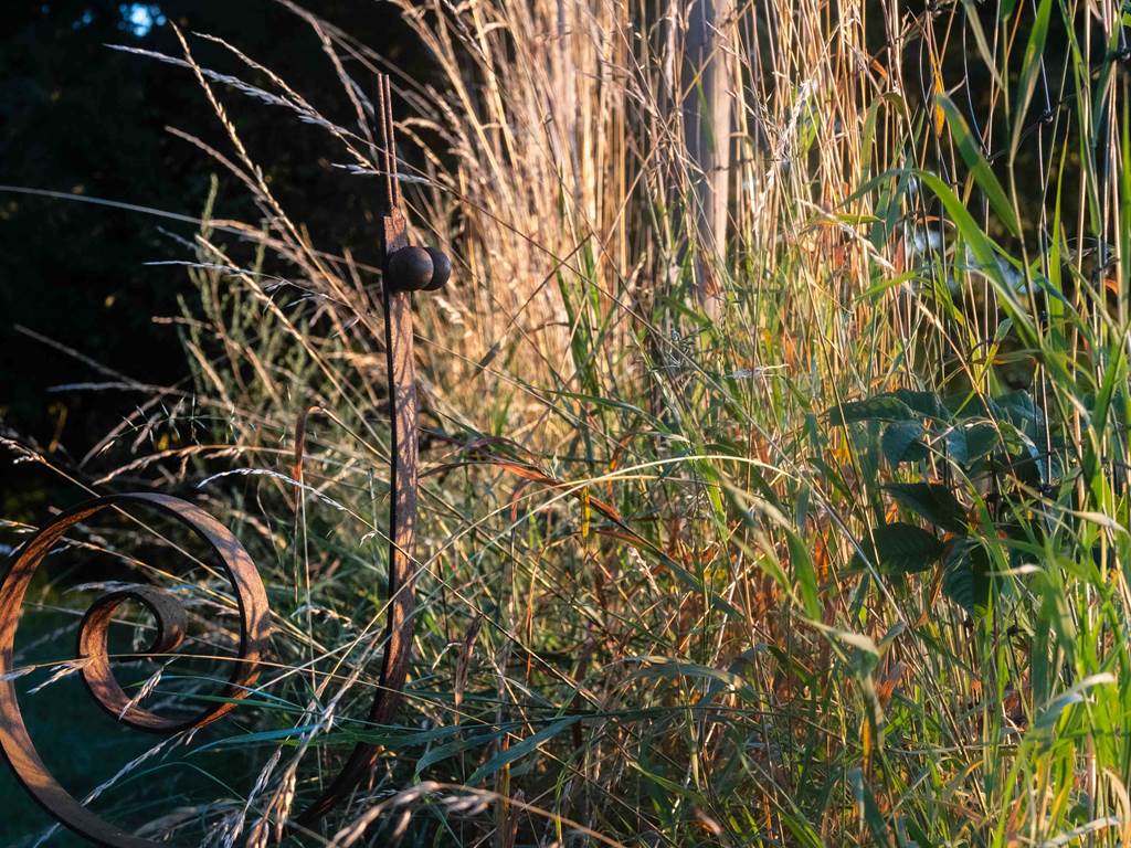 10 Escargot.- MSA_0674_