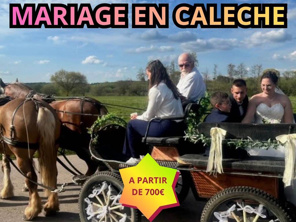 L’écurie du Vermois (47)