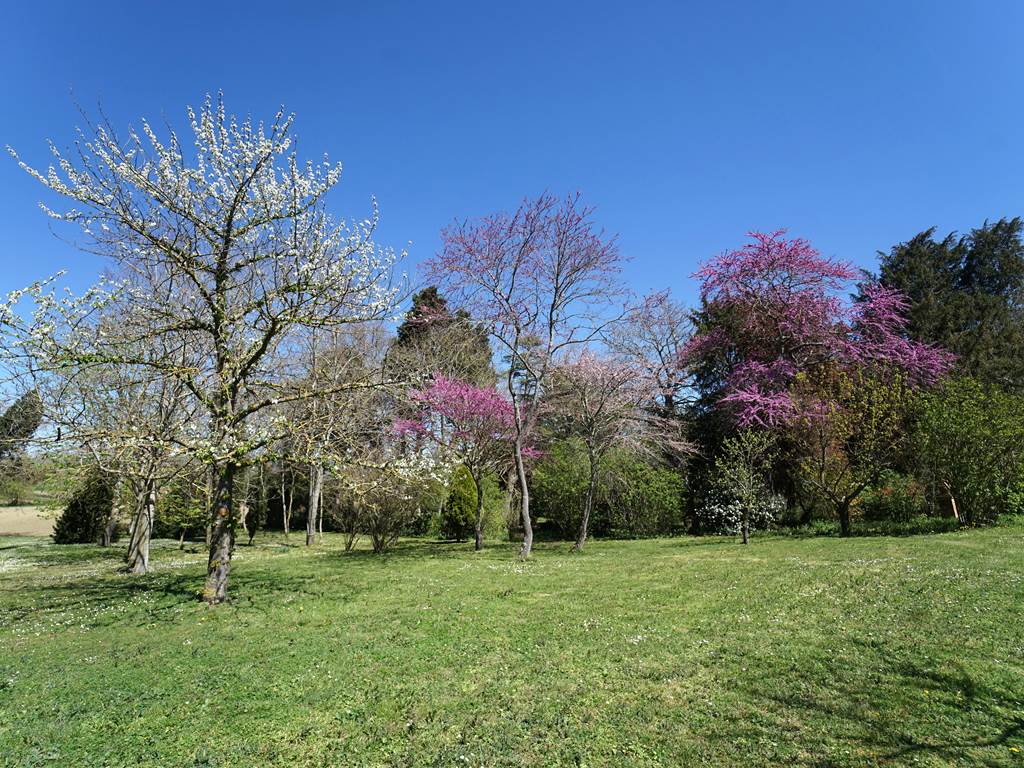Domaine de Lanis Maison d hôtes Castelnaudary parc vue fruitiers