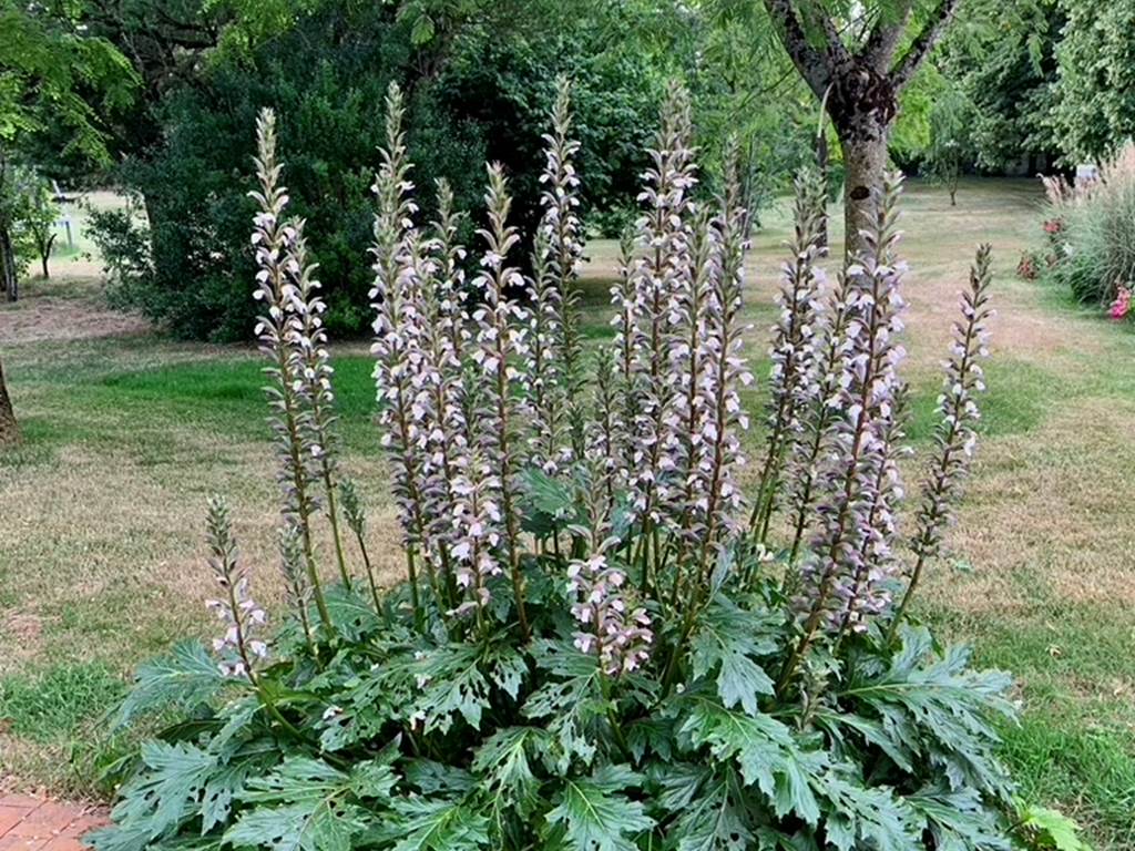 3F0CA26D-630B-4978-8399-C7F5EF66970A_1_105_c