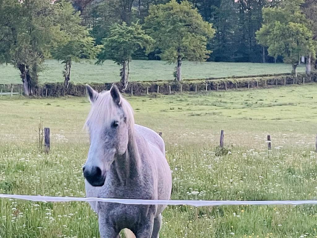 gite_correze_pierres_confort-nature