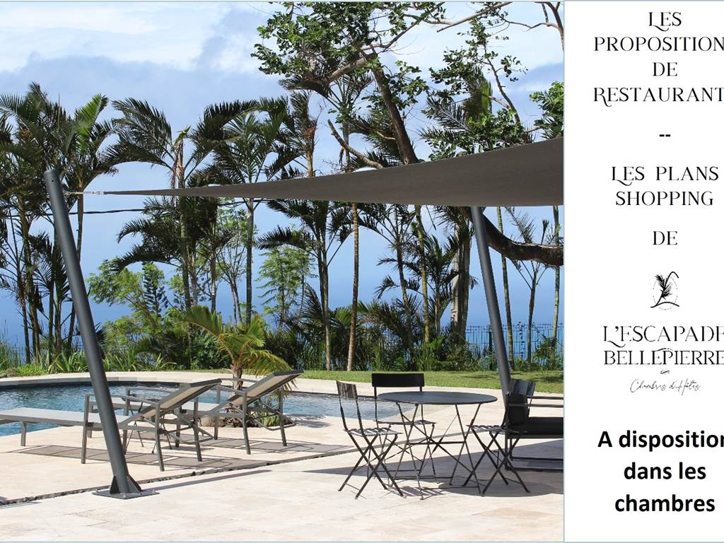 Propositions de restaurants et de plans shopping