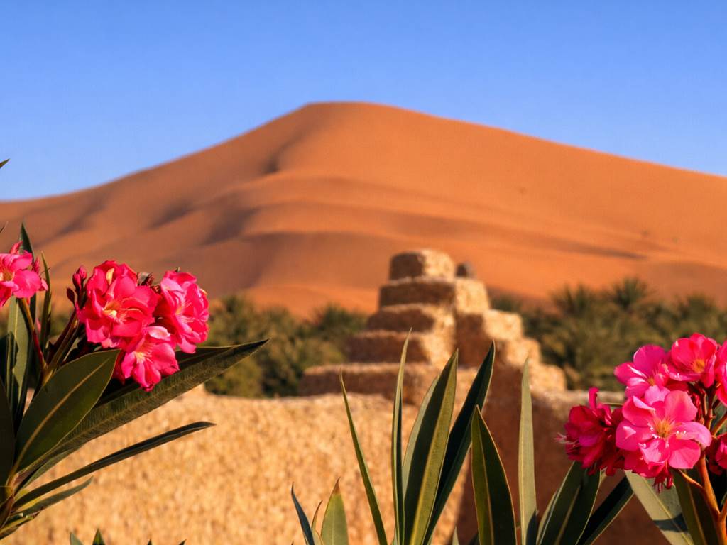 La vue depuis la terrasse de l'auberge