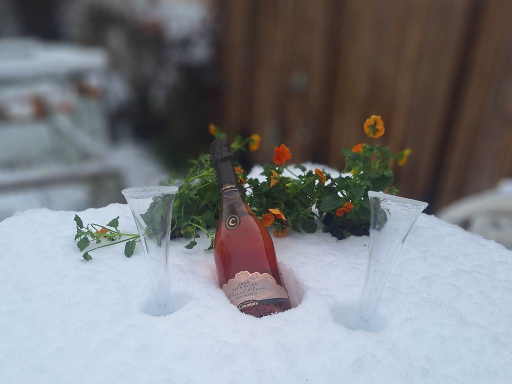 Champagne enneige´ 112024
