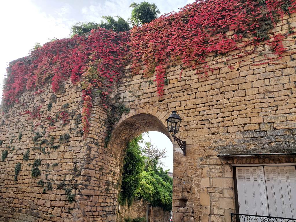 Sarlat la canéda