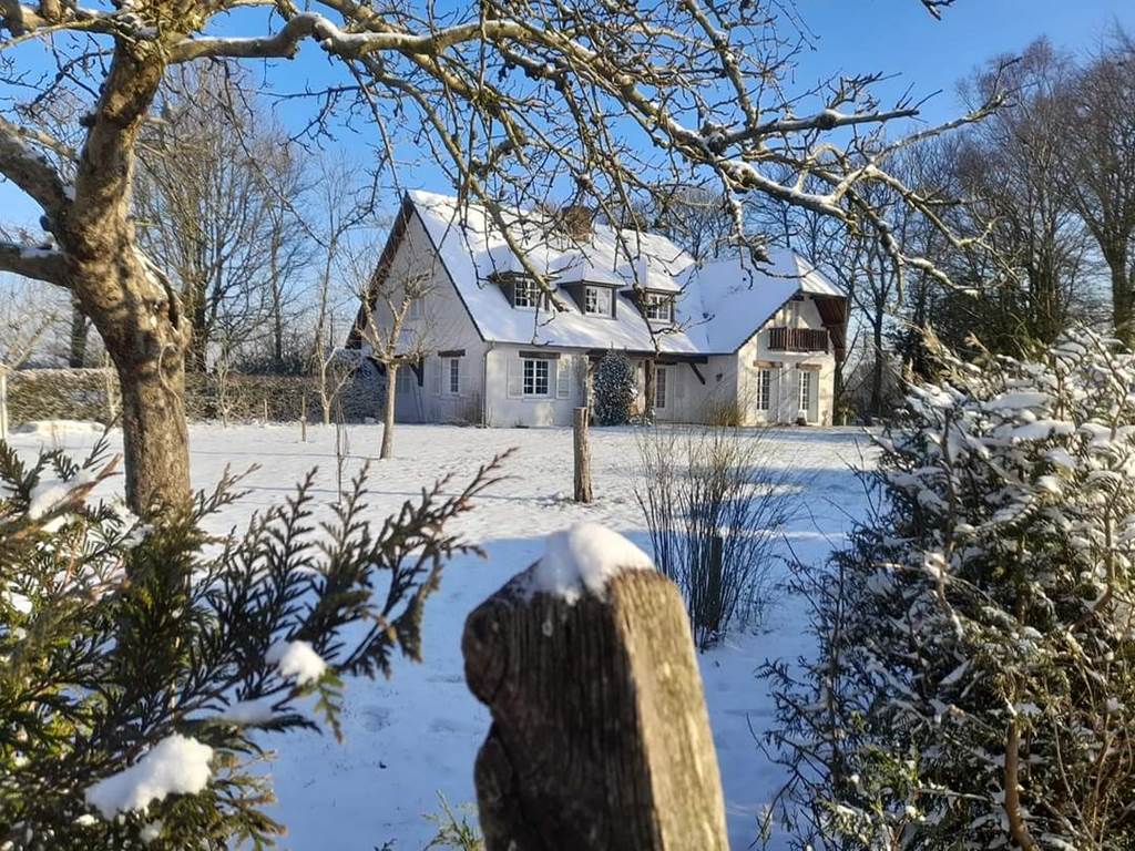 Sous la neige