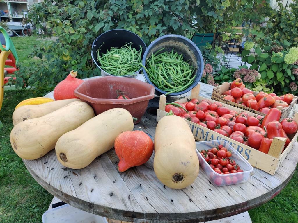 table de légumes