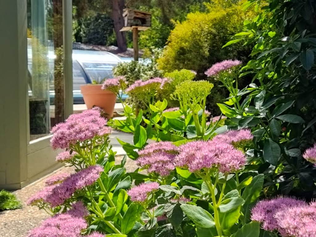 paysage fleuri du Gîte