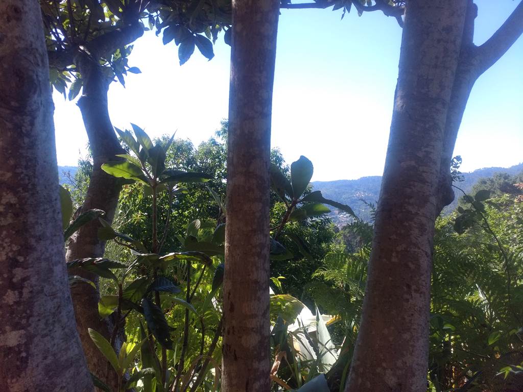 Le Jardin