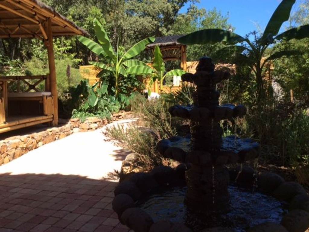 Les_jardins_de_valaurie_suite_bignone_Coco_banane_1_767