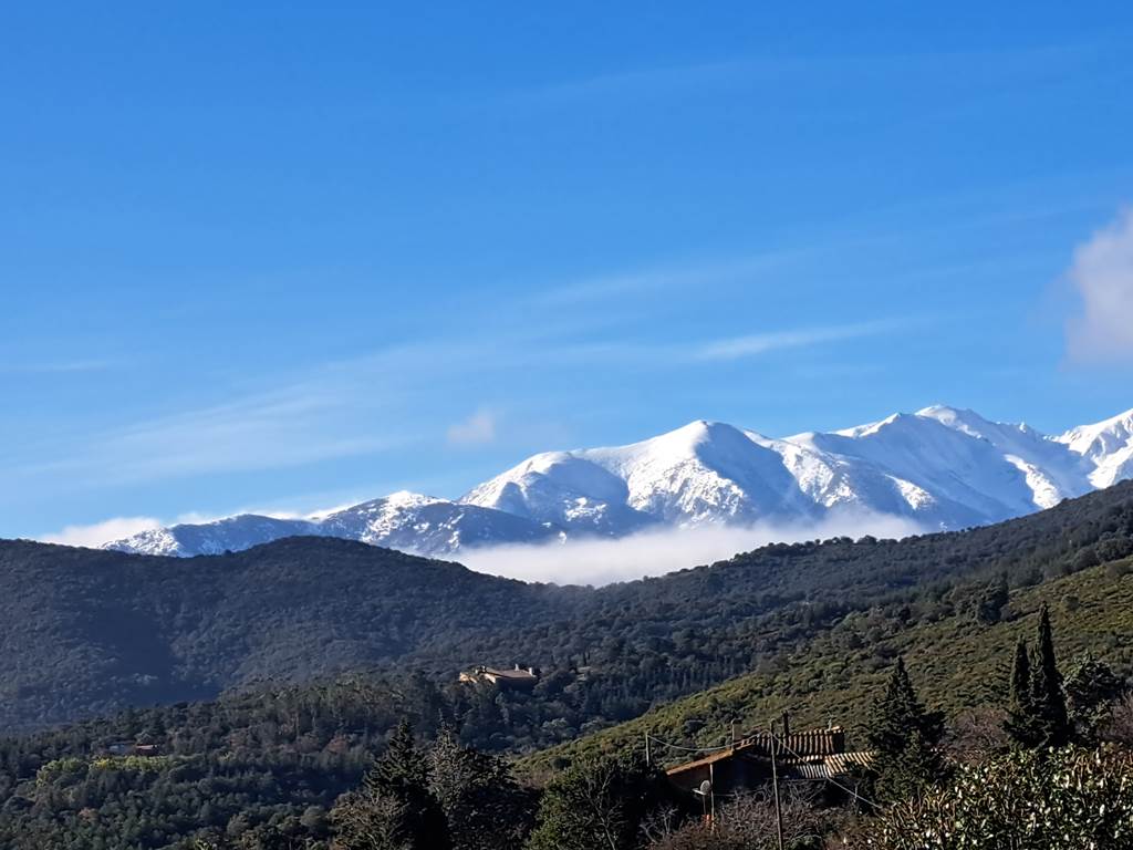 Vue Canigou depuis le mas