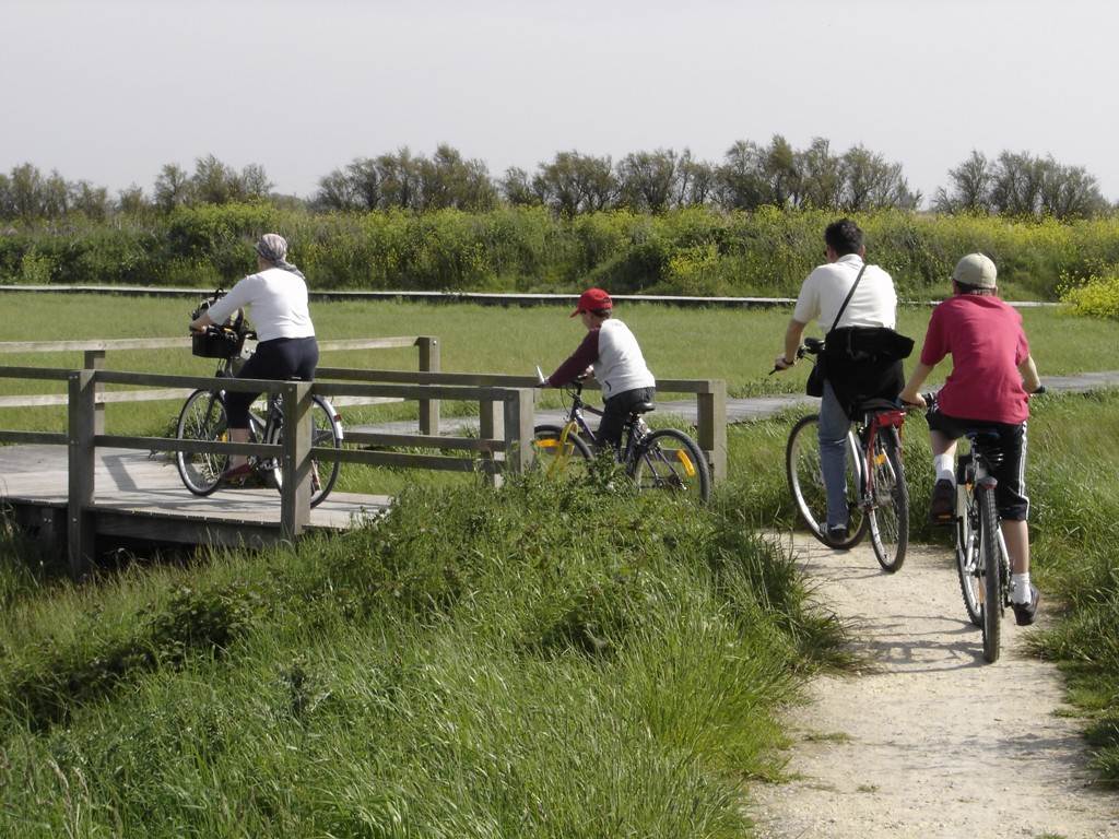 Balade à vélo de l'estuaire au marais (3)