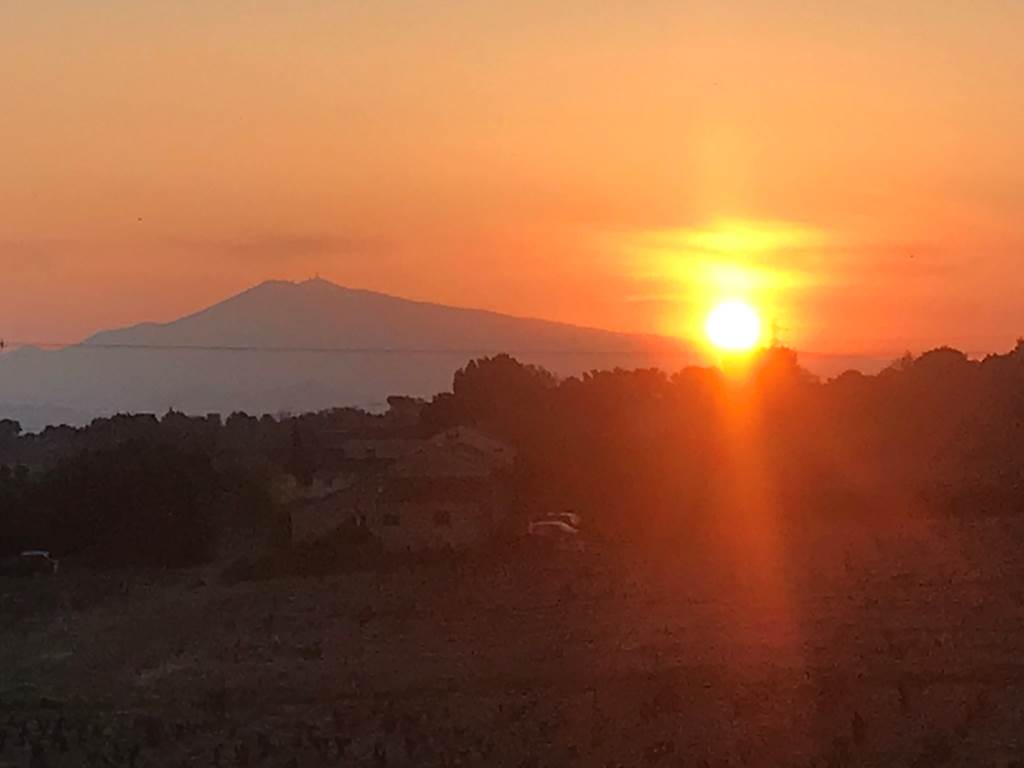 Le Mas Mellou : Lever de soleil sur le Mont Ventoux