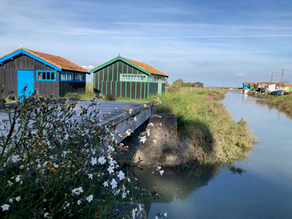 Les cabanes d'huîtres