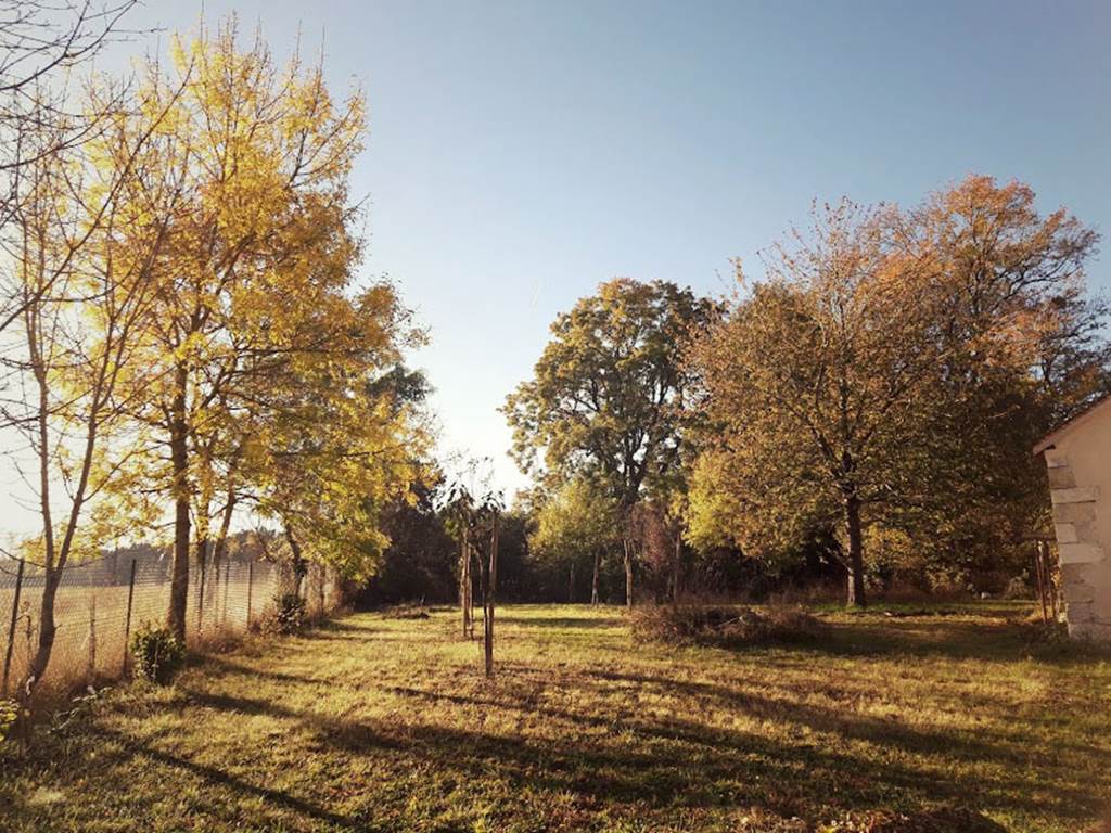 Maison-Chemin-chambres-d-hotes-Amboise-sejour-chateaux-de-la-Loire