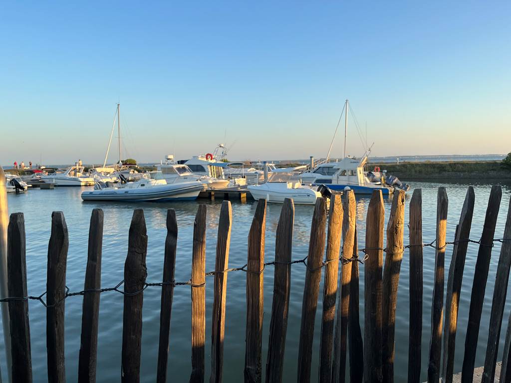 bassin-d-arcachon (18)