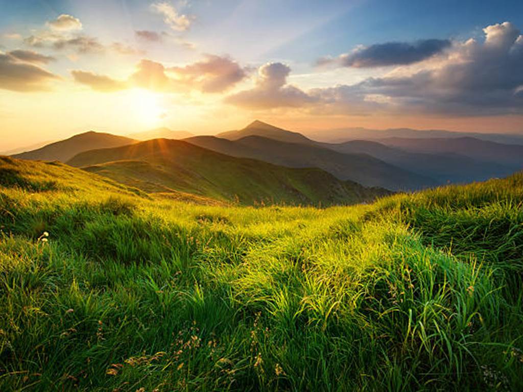 istockphoto-591441250-612x612