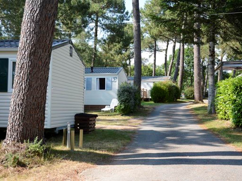 Camping-de-Kergo-Morbihan-Bretagne-Sud