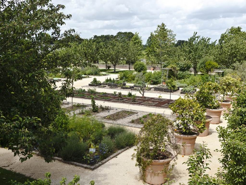 jardin botanique la gacilly-morbihan-bretagne-sud.jpg