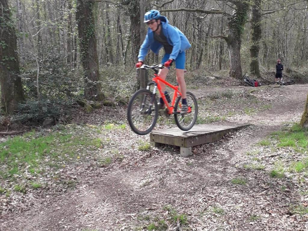 57294218_388496258369001_6571491746054668288_n