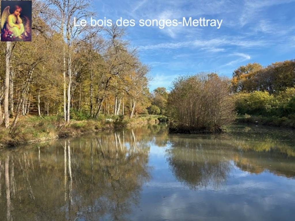 Etang a` l'automne