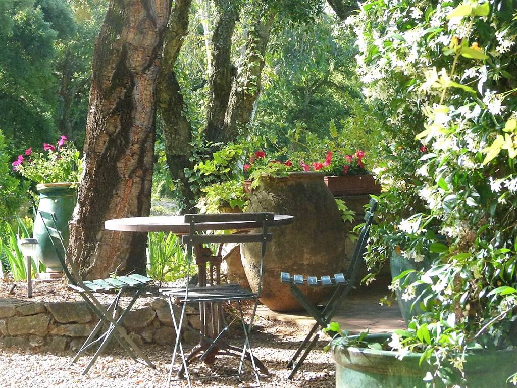 Côté terrasse