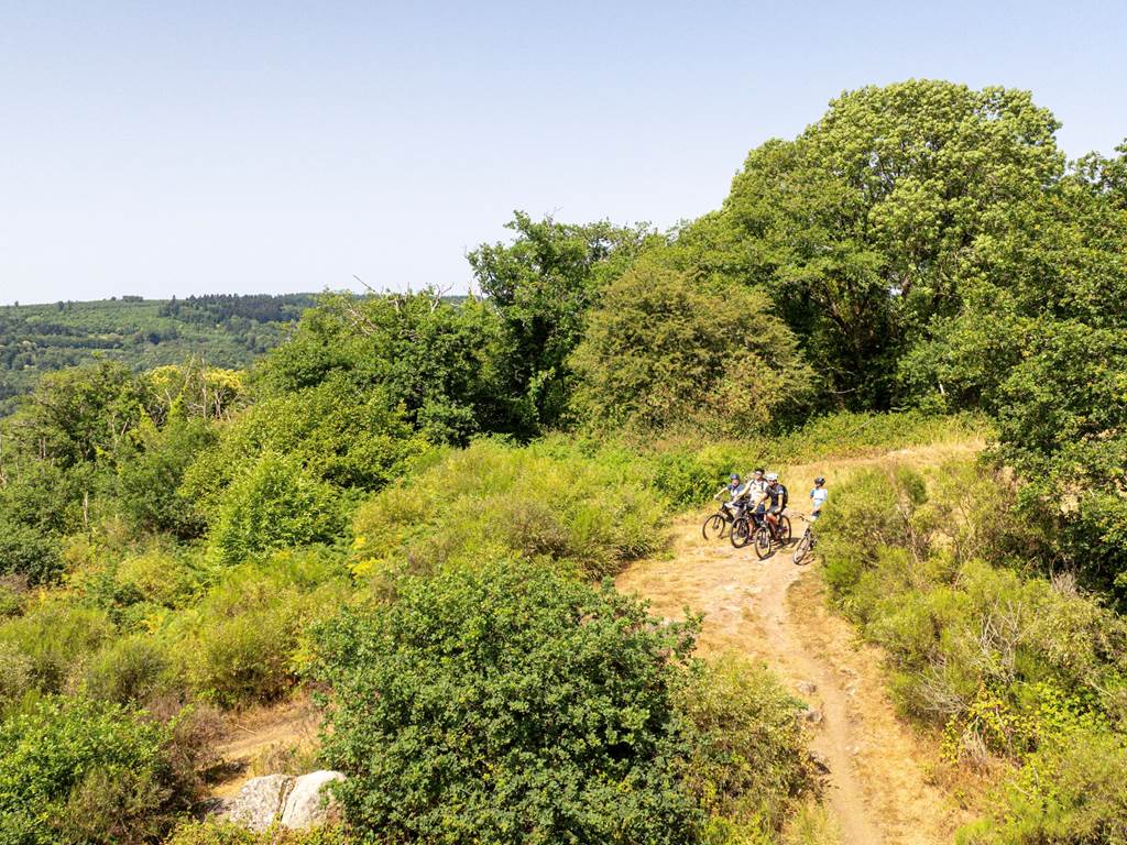 Fôret de Chabrières - Crédit photo : Les Coflocs