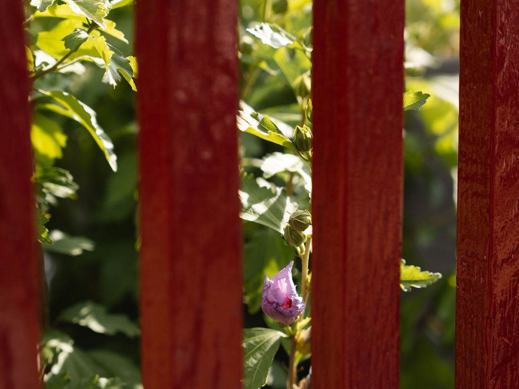 Les_sources_gite_de_charme_Objat_correze_piscine_x_Nastasia_Papiez-346