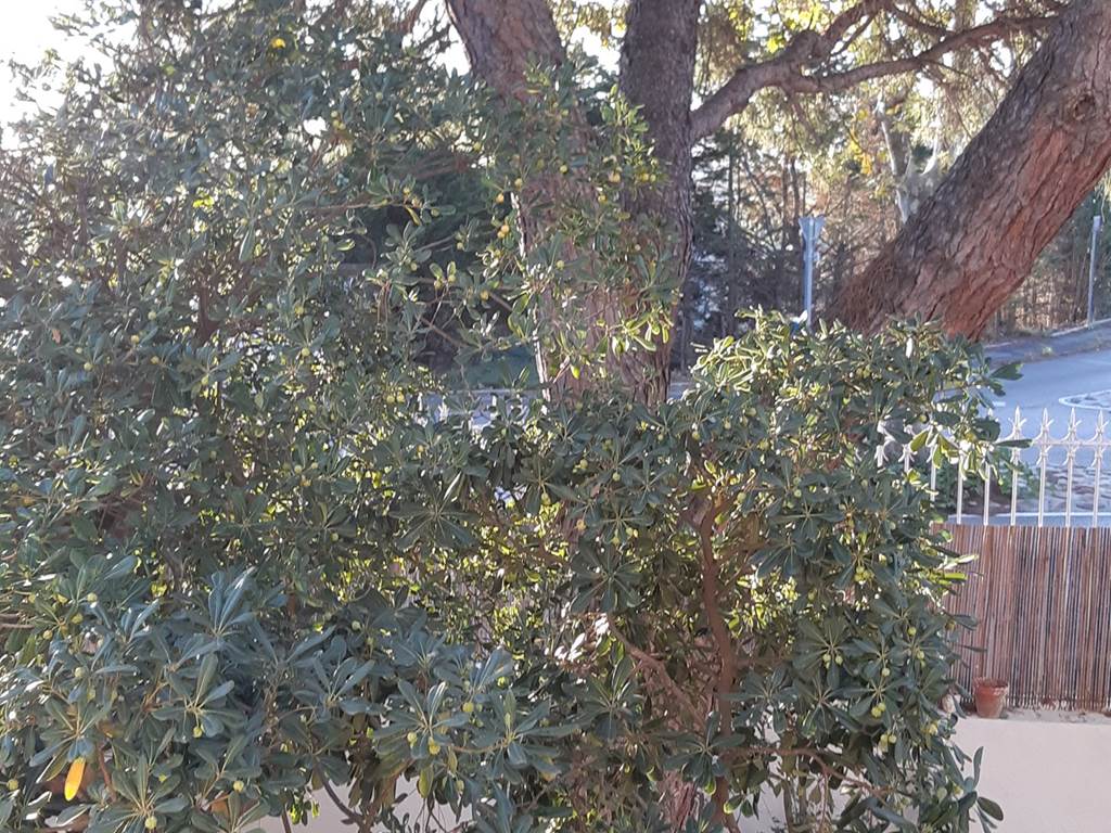 Le Mas Palegry chambres d'hôtes Perpignan chambre 1 suite avec vue sur jardin 10