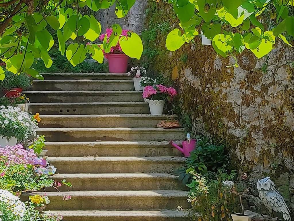 Escalier du jardin