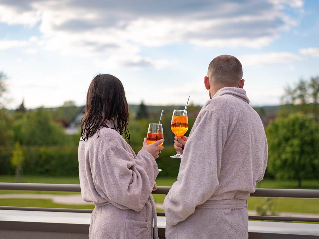 gites-luxe-alsace-nord-karlsmuhle-espace-bien-etre-piscine-sauna-spa-51