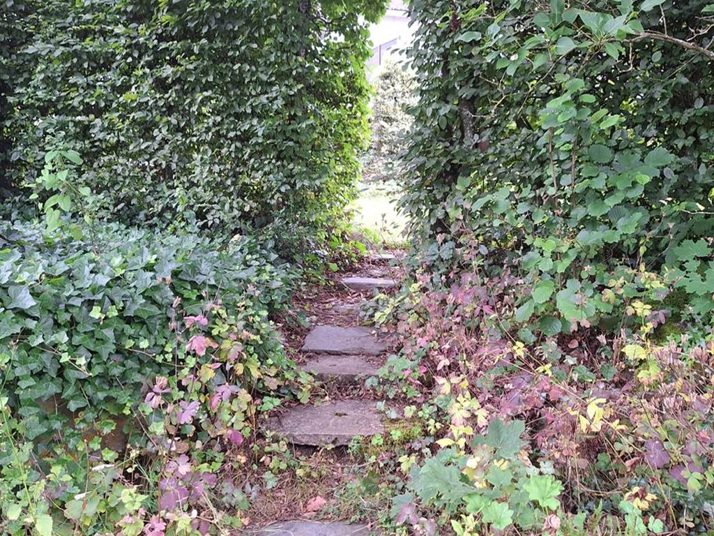 Le jardin et ses recoins