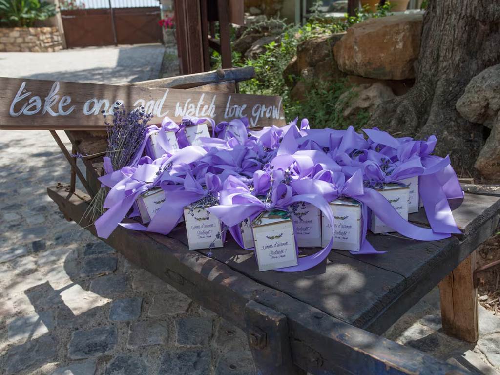 Verres de vin sur une table en bois lors d’une visite œnotouristique près de Béziers