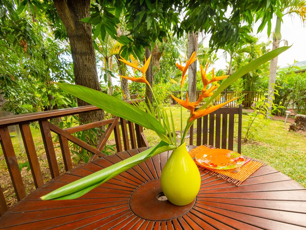 TERRASSE DE L' ALAMANDA DONNANT SUR LE JARDIN