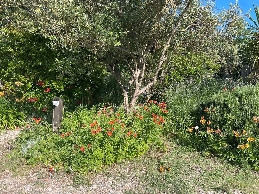 jardin2