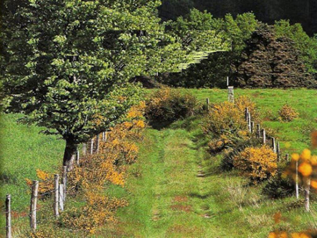 SENTIER