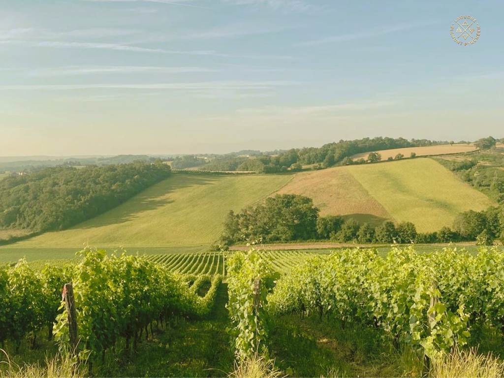 Domaine Laougué - été